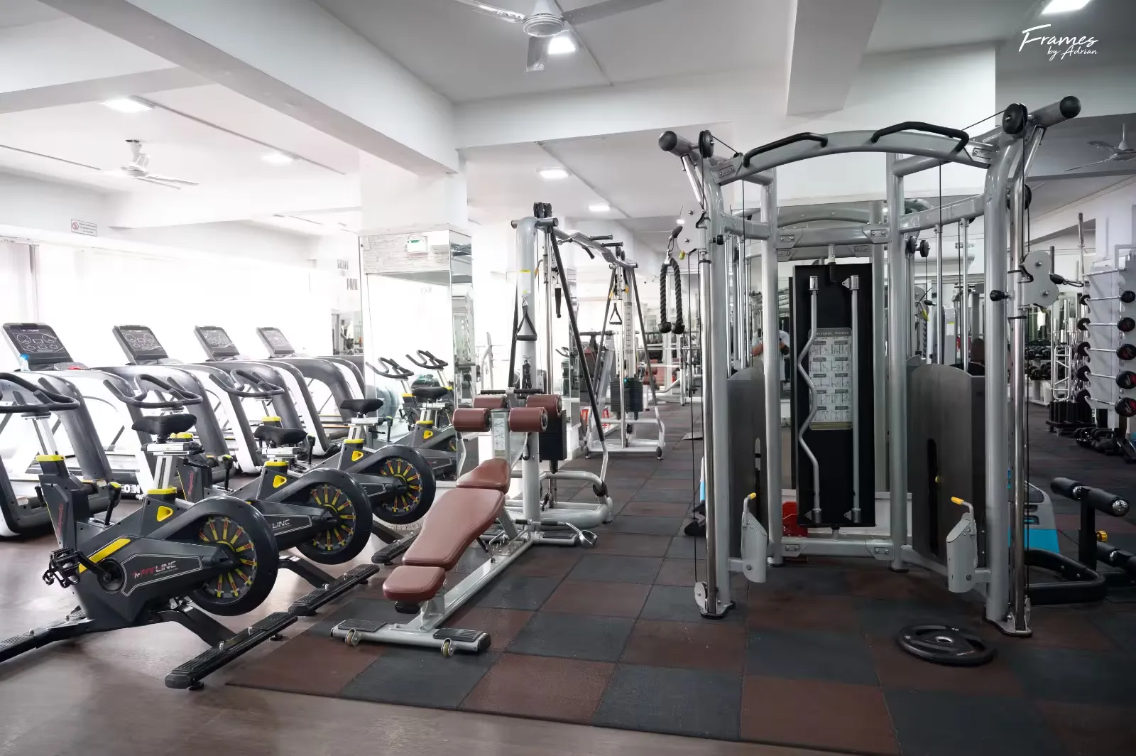 Organised cardio and training space for focused workouts at Power Fitness Club.